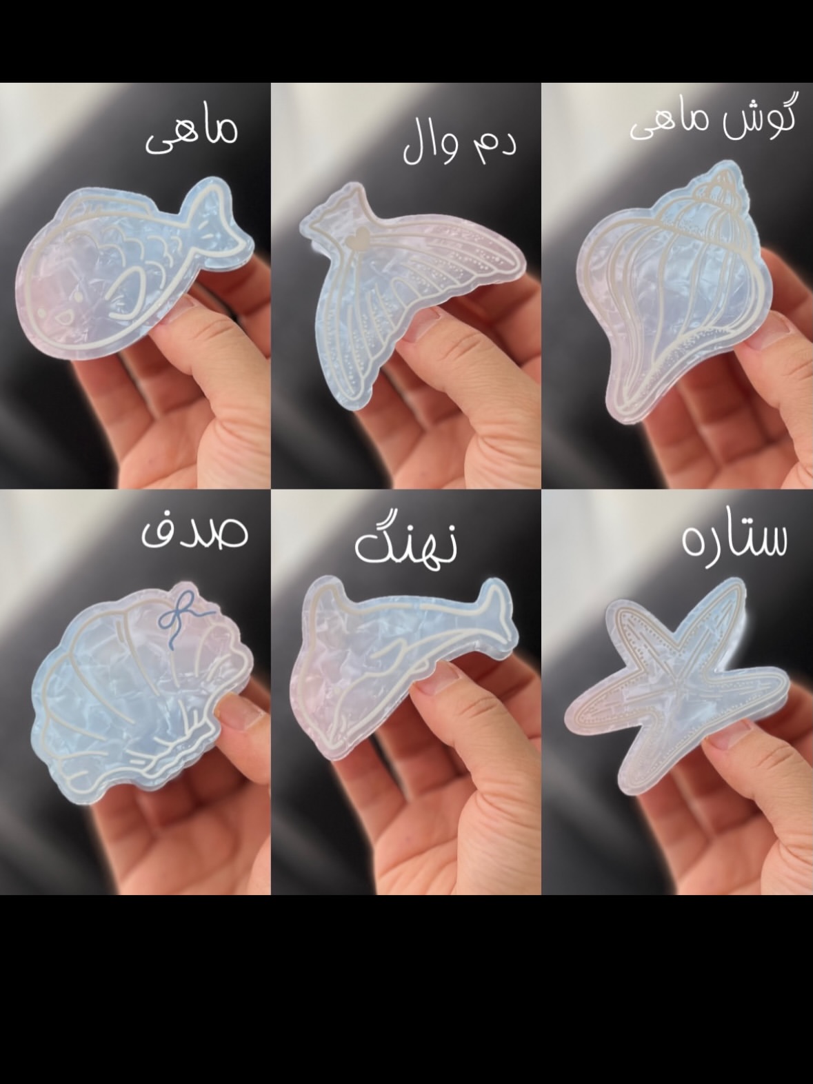 کلیپس موی اوشن